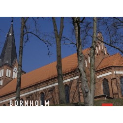 Ceramic Roofing Tiles Bornholm