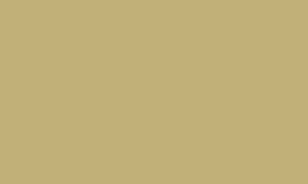 RAL 1001 - Beige 