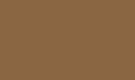 RAL 1011 - Brown beige 