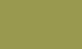 RAL 1020 - Olive yellow 