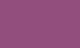 RAL 4008 - Signal violet 