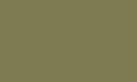 RAL 7002 - Olive grey 