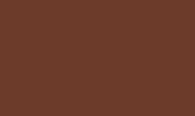 RAL 8002 - Signal brown 